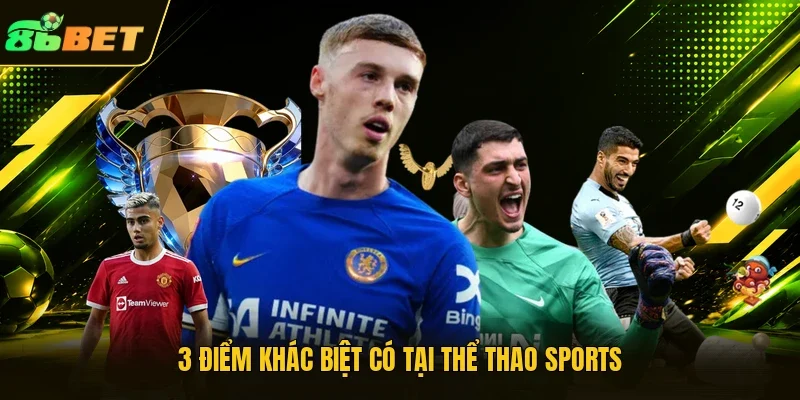 3 điểm khác biệt có tại thể thao sports 