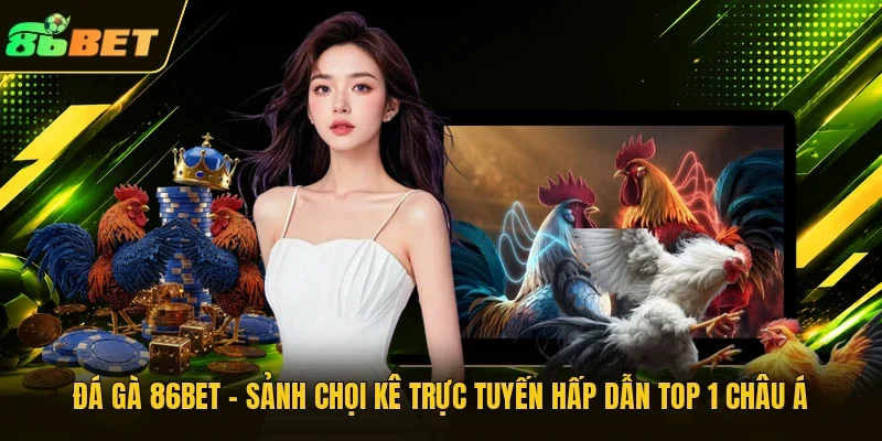 Đá gà 86BET - Sảnh chọi kê trực tuyến hấp dẫn top 1 châu Á 