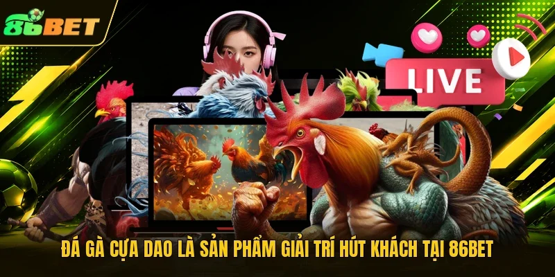 Đá gà cựa dao là sản phẩm giải trí hút khách tại 86BET 