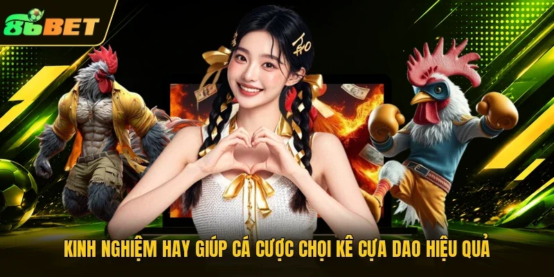 Kinh nghiệm hay giúp cá cược chọi kê cựa dao hiệu quả